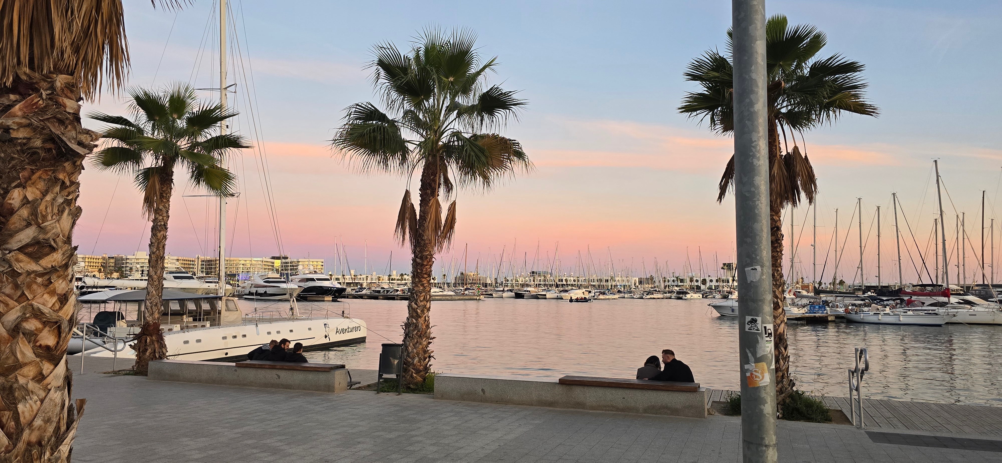Haven met palmbomen bij zonsondergang